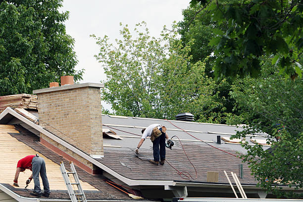 Roof Gutter Cleaning in Ellaville, GA